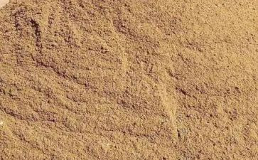 沙漠里的水教案6篇