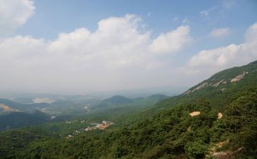 野山羊的读后感精选6篇