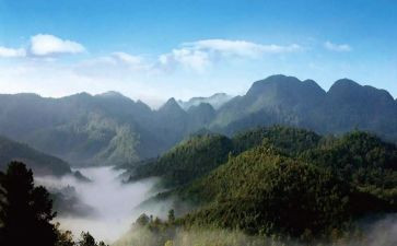 责任重于泰山观后感8篇
