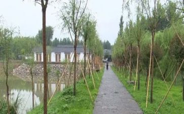 观庵上湖调查报告最新5篇