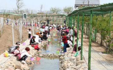 观庵上湖调查报告推荐8篇