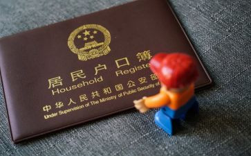 上户口申请书通用8篇