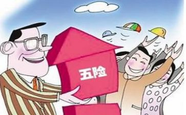 社保股工作总结8篇