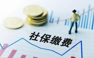 社保员的工作总结7篇