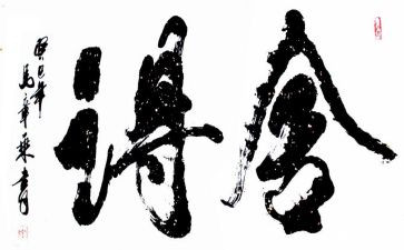 舍得读后感5篇
