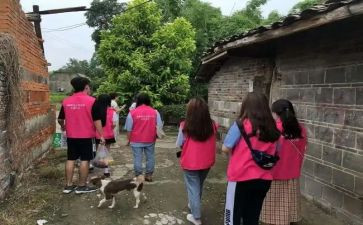学生社会工作个人总结7篇