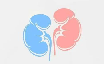 2024年肾内科工作总结范文推荐8篇