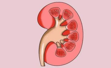 肾内科护士个人工作计划最新8篇