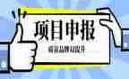 申报高级职称工作总结范文6篇