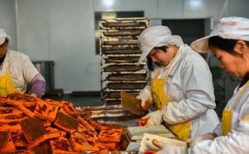 生产部月总结报告6篇