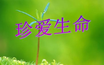 生命需要作文模板7篇