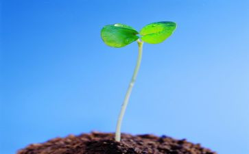 《生命生命》读后感优秀7篇
