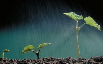 珍爱生命主题活动总结5篇