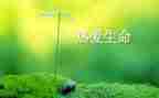 关于水是生命的演讲稿参考8篇