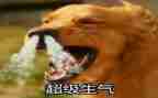《我生气了》作文参考7篇