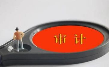 审计半年度总结7篇