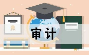 审计下年度工作计划参考5篇