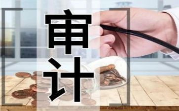 审计人演讲稿8篇