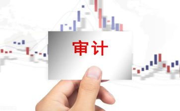 审计的总结报告7篇