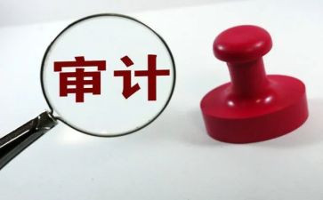 审计个人年度总结5篇