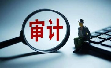 某公司审计工作计划7篇