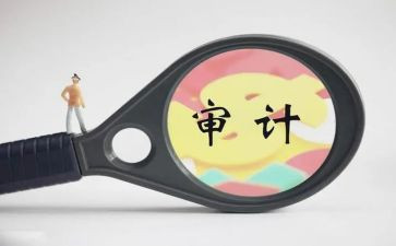 银行审计个人总结5篇
