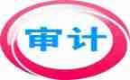审计组工作总结精选7篇