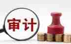 审计组工作总结参考8篇