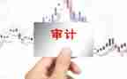 审计的总结报告7篇