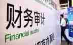 2024年度内部审计工作总结6篇