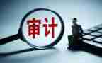 审计个人年终总结8篇