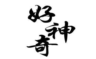 中班科学神奇的壳教案8篇