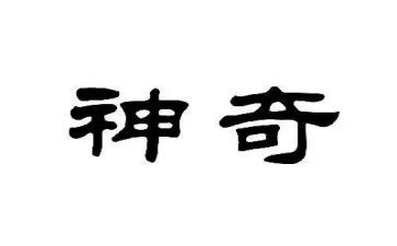 神奇的鸟读后感7篇