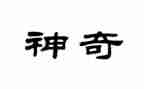 神奇的鸟读后感7篇