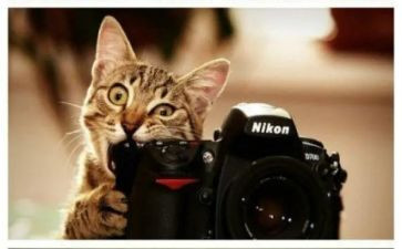 大学摄影活动方案5篇