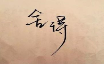 那一次的舍与得作文优质6篇