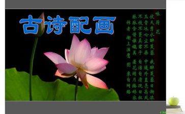 我与诗的亲密接触作文5篇