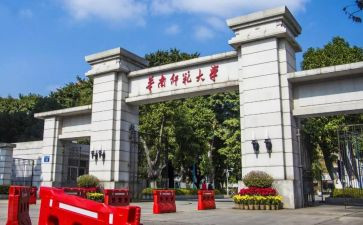师范生调研报告5篇