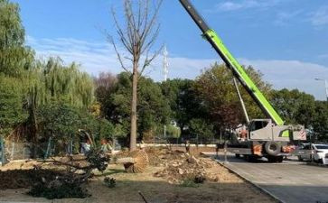 施工技术员月工作总结8篇