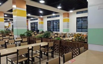 食堂管理的述职报告7篇