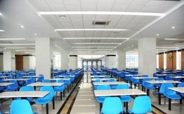 关于食堂的述职报告6篇