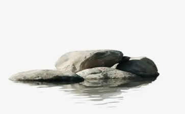 踩石头教案优秀7篇