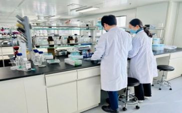 作文我做的一项小实验300字5篇