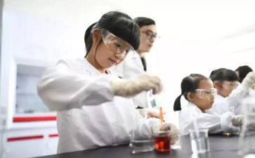 我做了一项小实验的作文5篇