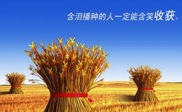 挺有收获的作文8篇