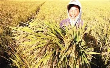 你收获了友谊作文最新8篇