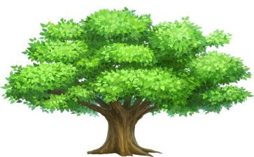 幼儿园小班语言树教案最新7篇