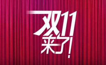 双11晚会活动策划最新5篇