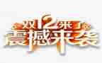 双12感恩活动策划通用5篇