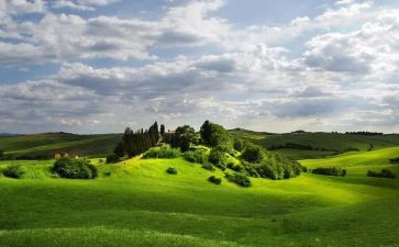 谁来了数学教案精选8篇